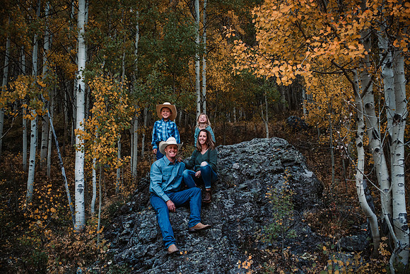 49 (1 of 1)