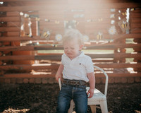 hank (1 of 1)