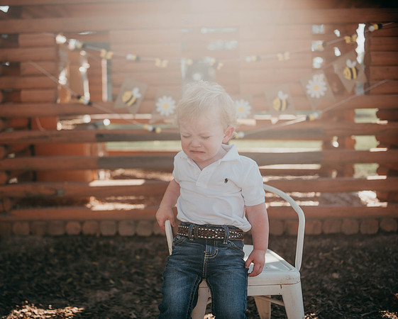 hank (1 of 1)