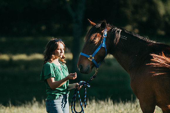 34 (1 of 1)